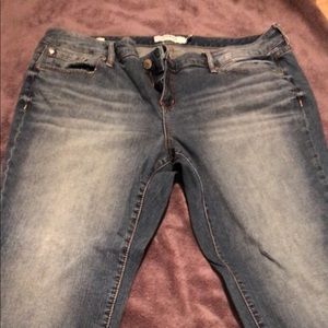 Torrid Skinny Jeans